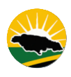 Jamaica Rising Day Parade